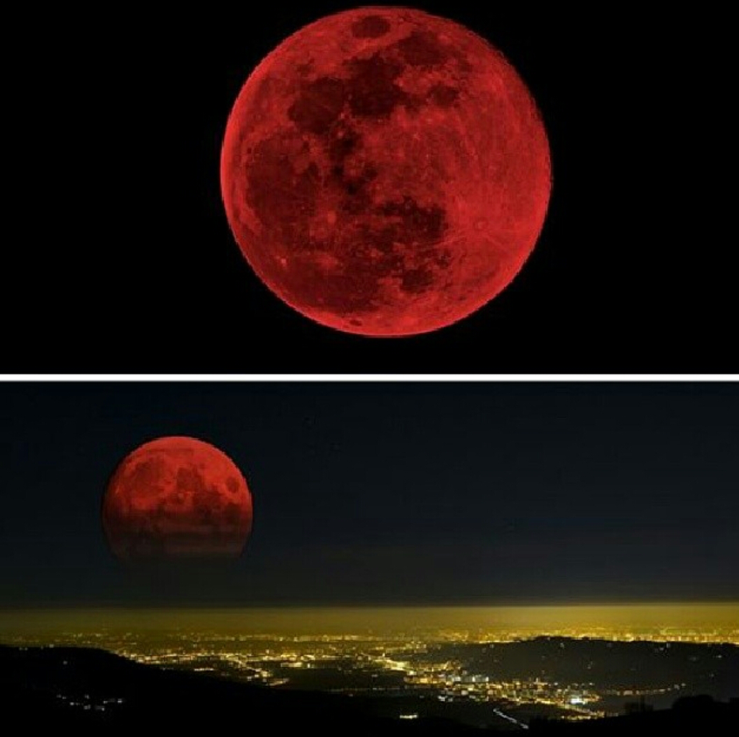 Кровавая луна 7. Кровавая Луна / Bloodmoon (1997). Лунное затмение Кровавая Луна. Луна красная снизу. Кровавая Луна и красная Луна.
