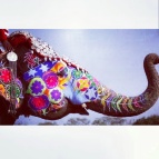 Decorated Elephant.